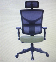 [COSCO代購4] W132326 Ergoking 網布人體工學椅