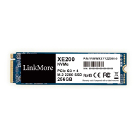 【LinkMore】XE200 256GB(M.2 2280 PCIe Gen 3x4 NVMe 1.3 SSD固態硬碟 XE200-256GB 讀2300M)