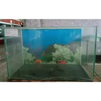 Akuarium 50 x 25 x 30 Full 5mm Aquarium
