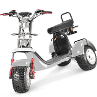 EU Warehouse EEC COC hot selling 3 wheel electric scooter unicycle tricycle cheap price 60V 3*20ah battery e