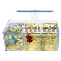 Aquarium LED Acrylic Betta Fish Tank Set Mini Desktop Light Water Pump Filters-Triple