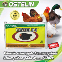 OSTELIN Kapsul 10 Butir – Vitamin Ayam & Bebek untuk Kesehatan Tulang dan Saraf | Original