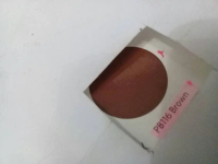 Pylox 112 brown Nippon Paint cat spray semprot coklat cat pilok