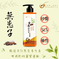 皂皂果 - 首烏無患子洗髮精 500mL