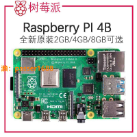 樹莓派4代RaspberryPi4B 編程 8GB 開發板 Python LINUX4G