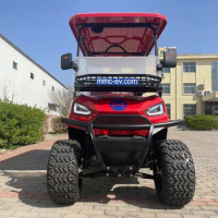 CE Certification Golf Cart Rental Luxurious Street Legal Lithium Battery Customiz Seater Electric Lifted Golf Cars Adult Buggy