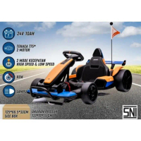 Gokart Aki 24 Volt 2 Dinamo Ban Full Karet 2 Kecepatan Lampu LED Murah