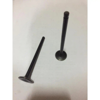 Klep Minyak/ Valve Intake Honda City, City Z 1996-2003