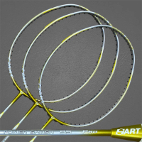 RAKET BADMINTON HART POWER SMASH 95 PRO