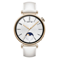 【送華為加濕器(EHU-007)】Huawei Watch GT4 41mm 運動健康智慧手錶(時尚款)