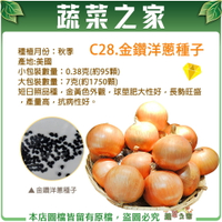 【蔬菜之家】C28.金鑽洋蔥種子(共有2種包裝可選)