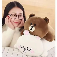 Line Friends Brown Bear Connie Rabbit Sally Doll Plush Toy Kawaii room Decoration Line Friends Brown