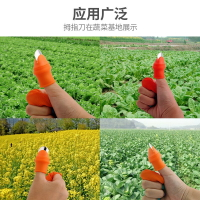 摘草莓神器割摘花椒菜心摘豆角割菜專用拇指刀農用摘茶葉手套指甲