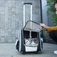 兩用貓包拉桿雙肩包貓包外出便攜貓背包貓咪外出包透氣寵物拉桿箱
