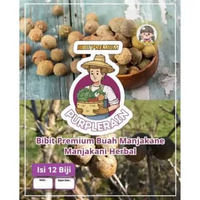 Bibit Premium Buah Manjakane Manjakani | Biji Benih Buah Manjakane Manjakani | Manjakan