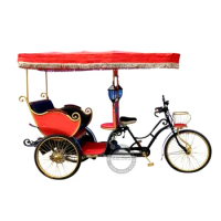 48V 800W Three Wheel Electric Rickshaw Pedicab 4 Passengers Tourist Sightseeing Bike Taxi Can Be Used For Wedding