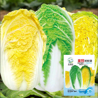 Baby cabbage seeds, heat-resistant yellow-heart vegetable seeds, balcony four-season vegetable seeds