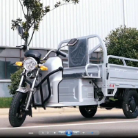 Cargo Motorcycle Trike 3 Wheel Electric Bike Slingshot Fast Adult Car Motorized Tricycle