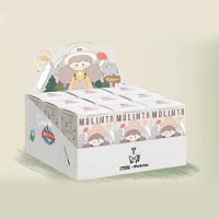 Whole Set 9 Box Molinta Camping Vlog Series Blind Box Mystery Box Kawaii Molinta Action Figure Doll Toy Girls Birthday Gift
