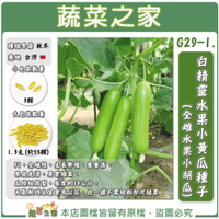 【蔬菜之家】G29-1.白精靈水果小黃瓜種子(全雌水果小胡瓜)共兩種包裝可選