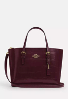 Coach Mollie Tote Bag 25
