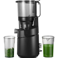 Juicer Machines, AMZCHEF 5.3-Inch Self-Feeding Masticating Juicer Fit Whole Fruits &amp; Vegetables,