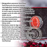 Cincin Pria Batu Pirus Merah Natural – Model Klasik Mewah | Akik Asli Elegan & Berkelas