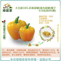 【綠藝家】大包裝G65.彩黃甜椒(黃色甜椒)種子0.9克(約95顆)
