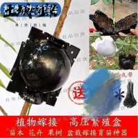 【宜家良品百貨】超級棒限時下殺 高壓生根器 園藝工具 繁殖球 植物繁殖盒子 花木扡插嫁接 無性繁殖球盒 控根器 壓條盒
