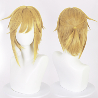 Trend  Legend of Zelda 2 Tears of the Kingdom Linke Children  Zelda Same Game Cosplay Clothing