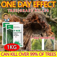 Removing Large Trees & Bamboo with Beetle Killer 5% Herb Hexazinone EzLife grass poison Garden home