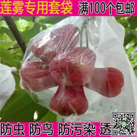 海南包郵蓮霧專用套袋加厚開窗半透明蒲桃防蟲防水水果日光套果袋-UM.有米家居