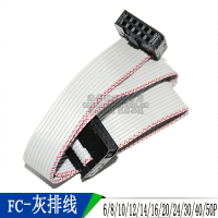 FC 雙頭線 JTAG電纜 AVR下載線 長30CM 間距2.54MM 灰排線