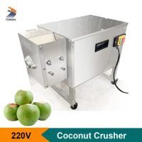 New Coconut Fresh Crusher 220V Electric Shredded Coconut Maker for Coconut Bread Jelly Making Household or Commercial Use