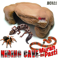 HC021 GOA HIDING CAVE PLACE TEMPAT SEMBUNYI REPTILE HIDDINGCAVE LEOPARD GECKO CREASTED AFT WHEELERI 