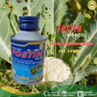 PRTN Insektisida Fostin 610 EC 100 Ml Obat Ulat PT548PROMO SPECIAL