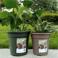 環球二代正品加侖盆綠蘿植物多肉PP塑料通用花盆種植園藝工具