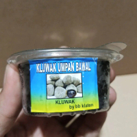 KLUWAK UMPAN BAWAL KLUWAK so pasti saaa...juos eee by.bb klaten umpan bawal berkualitas tinggi