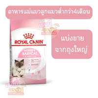 ((Sold Separately)) Royal Canin Mother & Babycat Royal Canin Food for Mother Cats and Kittens, Pelle