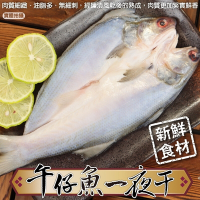 【海陸管家】台灣午仔魚一夜干5尾(每尾150-200g)-雙11下殺