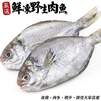 【海陸管家】新鮮野生肉魚/肉鯽仔16尾(每尾約100g)
