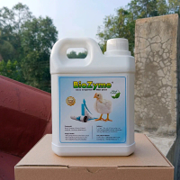 Solusi Ternak Unggas ( BIOZYME ) Cara Paling Ampuh untuk Menurunkan FCR - Menghemat Pakan - Menguran