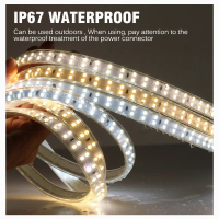 220V Strip Light 2835 2m/3m/5m/10m/20m 180LEDs/m 6000K 4000K 3000K IP67 Waterproof Outdoor Light Str