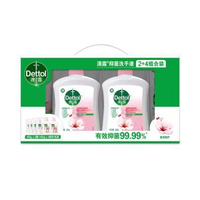 SAM - Sam/山姆 滴露(Dettol)抑菌洗手液(滋潤倍護)450g*2瓶+450g*4袋