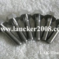 LAK-Titanium customised hexagon flanged head titanium bolt M6x28 Gr5