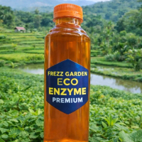 ECO ENZYME KUALITAS PREMIUM, USIA PANEN LEBIH DARI 6 BULAN (DLM KEMASAN 250 ML)