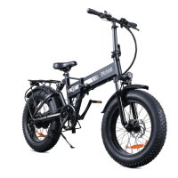 【趣野】SG1電動輔助腳踏車 20吋胖胎 附後貨架(腳踏車 折疊車 電動車)