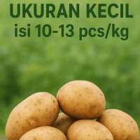 Kentang Dieng , Ukuran Kecil C