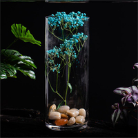 落地直筒水培大號花器透明玻璃花瓶水晶花瓶插花富貴竹擺設琉璃1入
