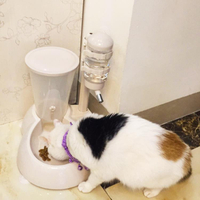 貓咪喝水器掛式不濕嘴自動飲水喂食器寵物立式貓飲水機流動不插電